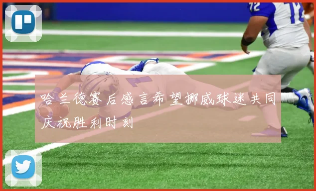 哈兰德赛后感言希望挪威球迷共同庆祝胜利时刻