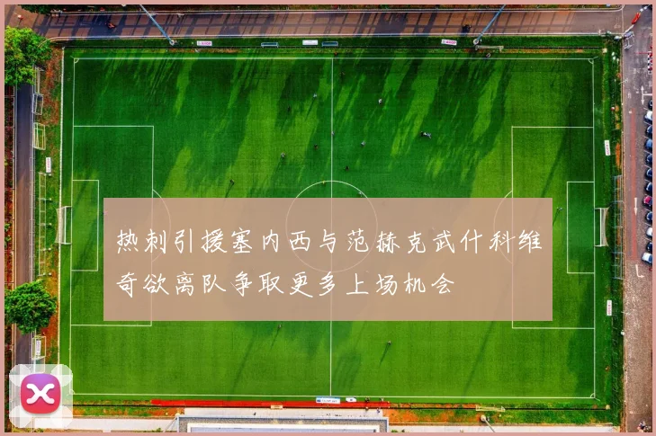 热刺引援塞内西与范赫克武什科维奇欲离队争取更多上场机会